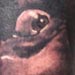 Tattoos - Marty Feldman - 19825